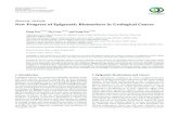 Review Article New Progress of Epigenetic Biomarkers in ...downloads.hindawi.com/journals/dm/2016/9864047.pdf · DNA methylation, mediated by DNA methyltransferases (DNMTs),usingS-adenosylmethionine(SAM)asthemethyl