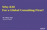 Why KM For a Global Consulting Firm? · Project planning Preliminary design Detailed analysis Design Optimization Construction specification Project management Quality control Project