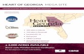 HEART OF GEORGIA MEGA SITE...only site in Georgia with this certification á Georgia Ready for Accelerated Development Certification LOCATION: Located halfway between Atlanta and Savannah
