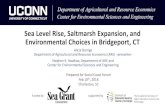 Sea Level Rise, Saltmarsh Expansion, and Environmental Choices … · Sea Level Rise, Saltmarsh Expansion, and Environmental Choices in Bridgeport, CT Alicia Barriga Department of