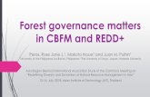 Forest governance matters in CBFM and REDD+ocean.ait.ac.th/wp-content/uploads/sites/10/2018/07/Rose...Forest governance matters in CBFM and REDD+ Peras, Rose Jane J. 1, Makoto Inoue2
