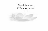 Yellow Crocus - photo.goodreads.comphoto.goodreads.com/documents/1330035339books/10000191.pdf · Yellow Crocus A NOVEL . Published by Flaming Chalice Press 2221 Woolsey St. Berkeley,