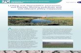 Linking soil degradation processes, soil-friendly farming ... · Soil compaction reduces the soil’s capacity to retain water and to supply oxygen to plant roots. When a soil is