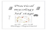 Practical mycology 3ed stagescbaghdad.edu.iq/files/lectures/bio/2019/mycology.pdf · Practical mycology 3ed stage وياب ثلاث يلمع تايرطف Biology Department