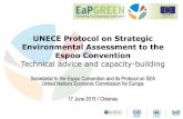 UNECE Protocol on Strategic Environmental Assessment to ... · 1.2: Green growth indicators 1.3: Identifying environmentally-harmful subsidies and launching subsidy reform 1.4: Creating