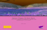 Opium Poppy Strikes Back...Opium Poppy Strikes Back: The 2011 Return of Opium in Balkh and Badakhshan Provinces 3 poppy, particularly under conditions of rising opium prices? Or might