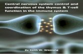Central nervous system control and coordination of the thymus & …€¦ · Central nervous system control and coordination of the thymus & T-cell function in the immune system By