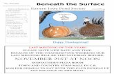 NOVEMBER 21ST AT NOONeips.org/newsletter/november2015.pdf · If your pond is cleaned and prepped prior to those cold dark winter months, then worry not, your koi and pond fish should
