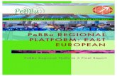PeBBu REGIONAL PLATFORM: EAST EUROPEANarchitect - client cooperation. The construction participants ordinary do not work in interdisciplinary teams and do not approach the construction