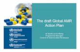 WHO: The draft Global AMR Action Plan · AMR Side Events 2012 – hosted by Sweden, Ghana 2013 – hosted by Sweden, UK 2014 – hosted by Netherlands, UK and Turkey. ESVAC stakeholders