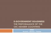 E-GOVERNMENT READINESS · E-Government Readiness ... government programs successful and serve as a clear methodology for the current and prospective e-government programs. With a