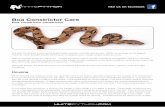Boa Constrictor Care - Modern and Innovative Reptile Keeping€¦ · is available from almost any reptile pet shop in the UK, and can be ordered in if they do not have it in stock.