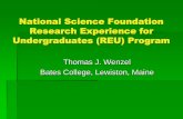 National Science Foundation Research Experience for ... · 6/13/2010  · Undergraduates (REU) Program Thomas J. Wenzel Bates College, Lewiston, Maine . Review Criteria (NSF) Intellectual