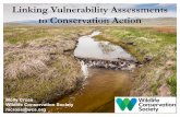 Linking Vulnerability Assessments to Conservation Action€¦ · planning and action • Examples of real-world climate-informed conservation actions. Talk Outline • Applying vulnerability