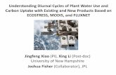 Understanding Diurnal Cycles of Plant Water Use and Carbon ... · US-Ha1. GPP ET WUE. Task 2: Examining diurnal cycles of canopy conductance, plant water use, and photosynthesis and