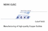 NEKK OJSCrustrade.ch/assets/files/predlozenia/nekk/nekk-presentation.pdf · NEKK Industrial Group has been operating in the metallurgy and chemical industry since 1992. In 2004 NEKK