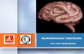 NEUROPEDAGOGÍA Y MEDITACIÓN...MAPAS /MODELOS MENTALES: FILTROS Neurológicos: Sistemas Representacionales o Canales de Comunicación •Visual •Auditivo •Kinestésico Sociales