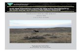 Draft RMP Amendment and EIS for Wild Horse Management in ... Draft RMP Amendment and EIS for Wild Horse