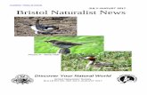 JULY-AUGUST 2017 Bristol Naturalist News · Sat. 19 Aug. Shooting summer pictures – photography day Botanic Garden page 19 Thu. 24 Aug. Science picnic: Honey a magical medicine