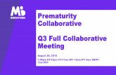 Prematurity Collaborative Q3 Full Collaborative …...2018/08/29  · Slide 4 Goals for our meeting • Sharing: • Successes from the Summit • Work group accomplishments and future