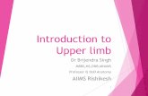 Introduction to Upper limb - AIIMS RISHIKESHaiimsrishikesh.edu.in/newwebsite/wp-content/uploads/2018/... · 2018-09-26 · Boundaries Anterior - pectoral muscles Posterior = latissimus
