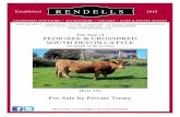 The Sale of PEDIGREE & CROSSBRED SOUTH DEVON CATTLEtemplatev2.rt-sb.net/agents/36537/cmp/pdf/PT Catalogue 11.03.14.pdf · 3/14/2011  · YFC SHOW & SALE OF COUPLES, SALE OF LAMBS