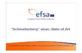 Schmallenberg virus: State of Artec.europa.eu/food/sites/food/files/animals/...SBV – Genetic Analysis • More than 170 named virus isolates comprise the genus Orthobunyavirus in