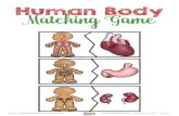 Human Body Matching Game - Free printable reward charts ...€¦ · Human Body Matching Game heart stomach kidneys Cliparts: Educlips, Graphics from the Pond - ©KiddyCharts 2019