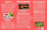 Watermelon - Digital Humanitieshhdigitalhumanities.org/columbianexchange/files/original/b04a9b0... · and “W at ermelon Man” by Herbie Hancock. T he Columbian E xchange was an