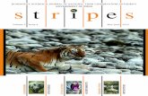 BI-MONTHLY OUTREACH JOURNAL OF NATIONAL TIGER …moef.gov.in/wp-content/uploads/2018/04/STRIPES-2012.05-06.pdf · establishment of Tiger Safari, interpreta-tion/ awareness centres