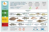 A Guide to Eating Fish from Santa Monica Beach South of Santa … · 2019-03-19 · SANTA MONICA BEACH SOUTH OF SANTA MONICA PIER TO SEAL BEACH PIER (VENTURA, LOS ANGELES, AND ORANGE