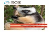 LEMURS SPECIAL INITIATIVE - Lemur Conservation Networklemurconservationnetwork.org/wordpress/wp-content/... · the IUCN Lemur Action Plan give us the toolset to fight lemur extinctions