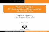 Advanced Course in Psycholinguistics and Neurolinguistics ... · Psycholinguistics and Neurolinguistics LANGUAGE LEARNING Master on Linguistics (Kepa Erdozia and Itziar Laka) 2011/01/26