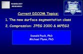 Current DICOM Topics: 1. The new surface segmentation ... · • Segmentation algorithm used to create the surface • Whether post processing has been done on the segmented surface