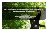 FAO support to socio-economic data collection in National Forest … · 2019-10-03 · FAO Forestry National Forest Monitoring ... • Cost-efficient to combine biophysical & SE surveys,
