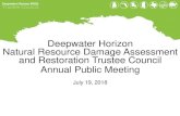 Deepwater Horizon Natural Resource Damage Assessment and ... · 19/07/2018  · Deepwater Horizon Natural Resource Damage Assessment and Restoration Trustee Council Annual Public