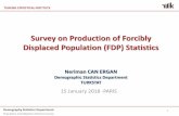 Survey on Production of Forcibly Displaced Population (FDP ...Jan 15, 2018  · Population and Migration Statistics Group Responsible Organizations for Collecting Data on FDPs 10 Number