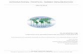 INTERNATIONAL TROPICAL TIMBER ORGANIZATION · Date:28/09/2015 Version:1.0 Descargo de responsabilidad Este informe es responsabilidad de su autor. Resumen analítico: La tala y comercio