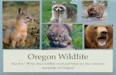 Wildlife of Oregonblogs.4j.lane.edu/haberman/files/2019/01/EQ-12-Wildlife-of- آ  Wildlife of Oregon
