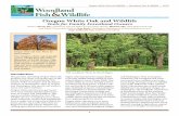 Oregon White Oak and Wildlife - Know Your Forest · Oregon White Oak and Wildlife Woodland Fish Wildlife 2018 1 Introduction. The graceful, spreading Oregon white oak presides over