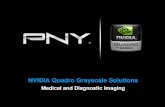 NVIDIA Quadro Grayscale Solutions - Projectors NVIDIA grayscale pixel packing technology allows up to