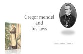 Gregor mendel and his laws · Gregor Mendel, through his work on pea plants, discovered the fundamental laws of inheritance. He deduced that genes come in pairs and are inherited