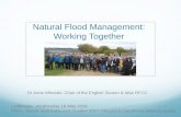 Natural Flood Management: Working Together · Dr Anne Wheeler, Chair of the English Severn & Wye RFCC Loddington: Wednesday 16 May 2018 Photo: Stroud rural SuDs visit October 2017