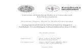 Graduate Degree Thesis in Medical Informatics Integration ... · openEHR archetype: ‘A computable expression of a domain content model in the form of structured constraint statements,