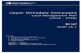 Upper Nithsdale Composite€¦ · 4. Proposed management objectives 5. Design concept . Appendix 1 - Glossary . Appendix 2 – Analysis and Concept map . Appendix 3 - Stakeholder
