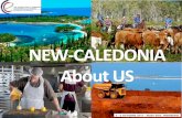 NEW-CALEDONIA About US · New Caledonia is located in the Pacific ocean 1500 km east of Australia 2000 km north of New Zealand. 268.767 inhabitants. Economy of New Caledonia is one