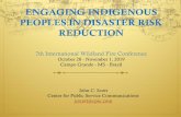 ENGAGING INDIGENOUS PEOPLES IN DISASTER RISK REDUCTION · Protect ecosystems and natural buffers to mitigate hazards to which your city may be vulnerable. Adapt to climate change