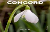 CONCORD...CONCORD MARCH 2015 Gower, by Kamal Prashar Rivers start with so much energy high in hills and carve their valleys until they reach the plains and then meander their way to