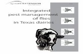 Integrated pest management of flies in Texas Dairiesanimalscience.tamu.edu/.../14/2012/04/...pest-mgmt.pdf · 3 Fly management problems Insecticide resistance, environmental regulations