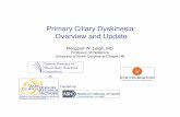 Primary Ciliary Dyskinesia: Overview and Update · Confidence intervals)* P-value Unexplained neonatal respiratory distress (#1) 116 (57%) 21 (11%) 6.6 (3.5,12.3